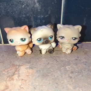 Cat LPS Bundle